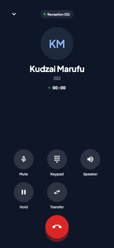 Ansa Voice: On a call